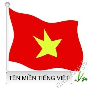 Vì sao phải đăng ký tên miền tiếng Việt