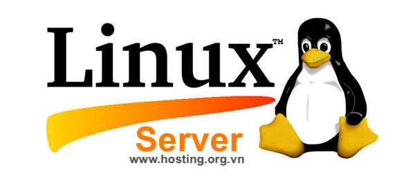 Tại sao chọn Linux Server?
