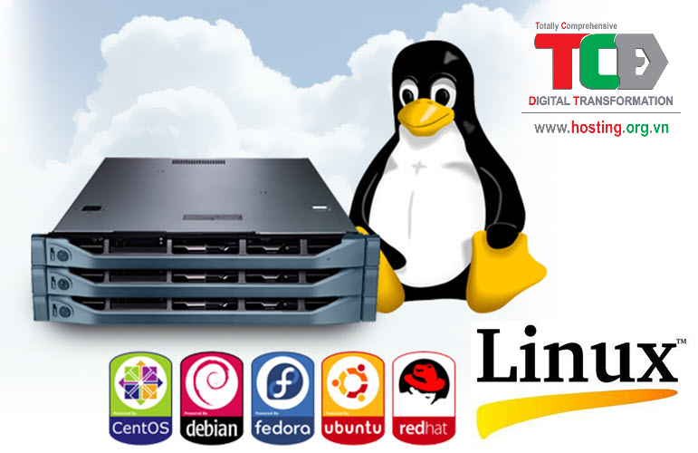 Linux Server: Định nghĩa và Phân quyền