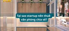 Startup Nên Thuê Văn Phòng Chia Sẻ Hay Văn Phòng Truyền Thống?